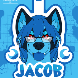 Badges