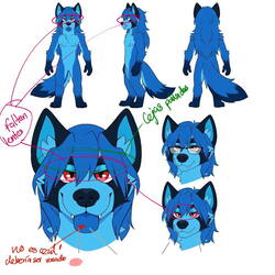 Reference Sheet